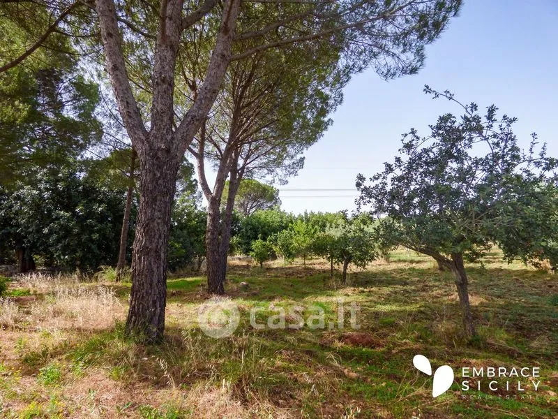 Jardin - Noble Villa with Panoramic Terrace in Palazzolo Acreide