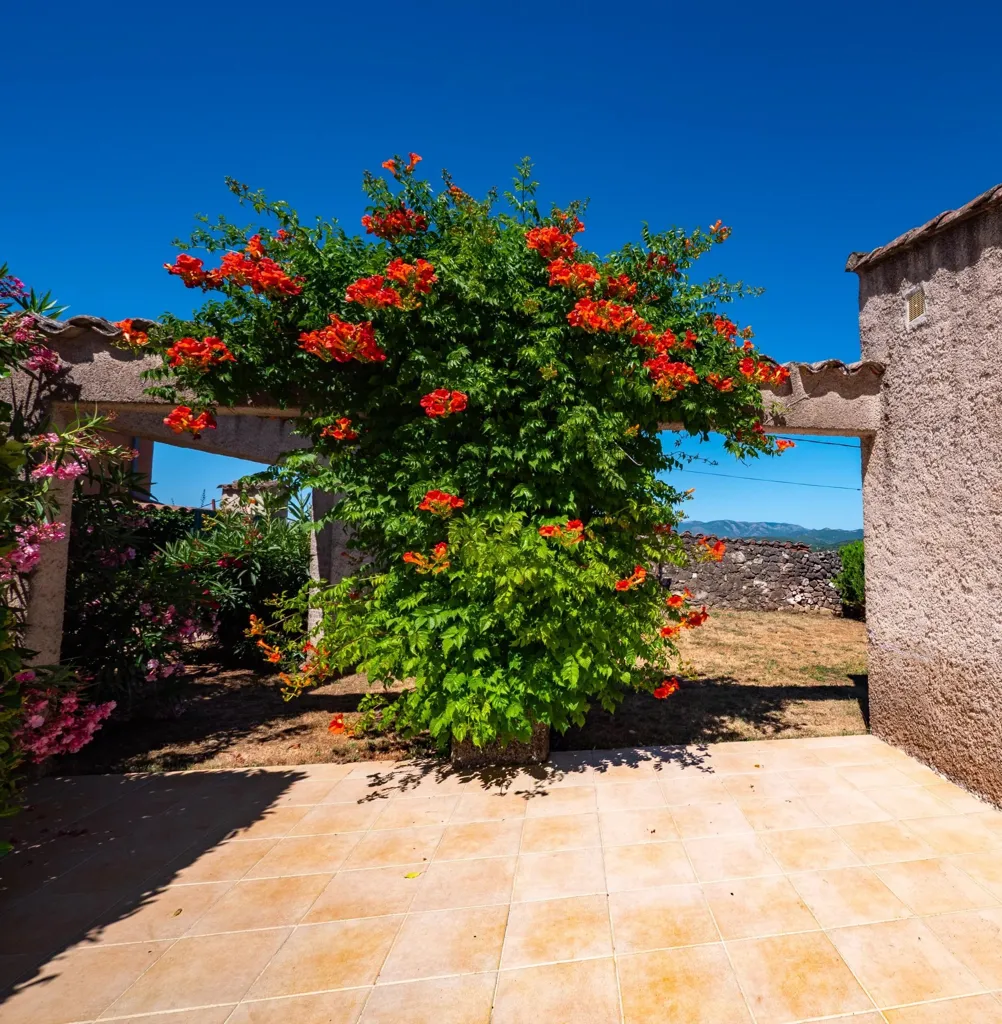 Jardin - Maison avec Vue Montagnes et Piscine à Bédarieux