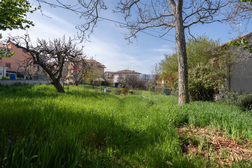 Jardin - Cielo-Terra House with Garden in Cupramontana