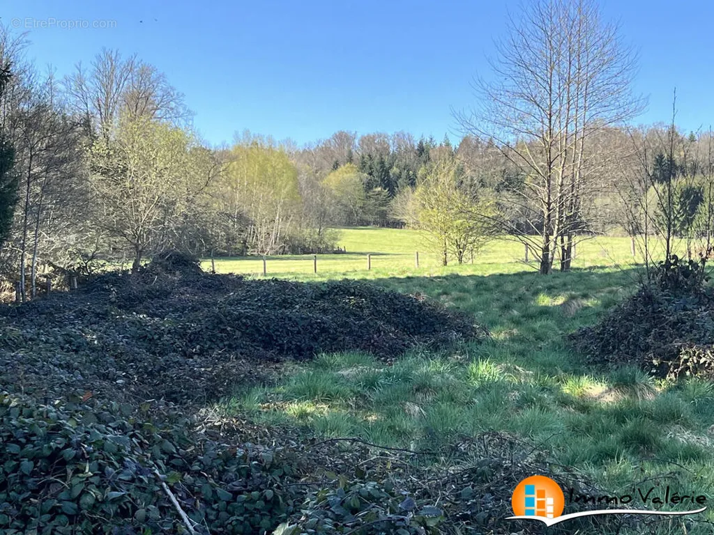 Giardino - Flat Terrain with Constructible Area in Vimenil