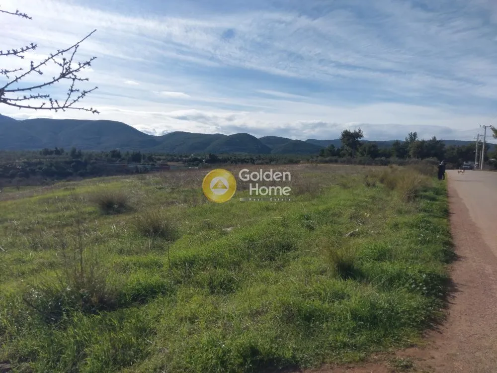Aed - Commercial Plot with Unrestricted View in Eastern Attica