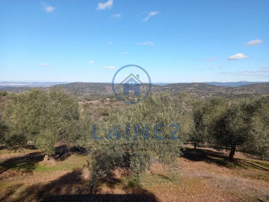 Jardin - Country House with Mountain Views in Villanueva del Rey