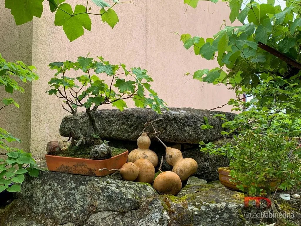 Jardin - Rustic Farmhouse with Pool in Oliveira de Frades