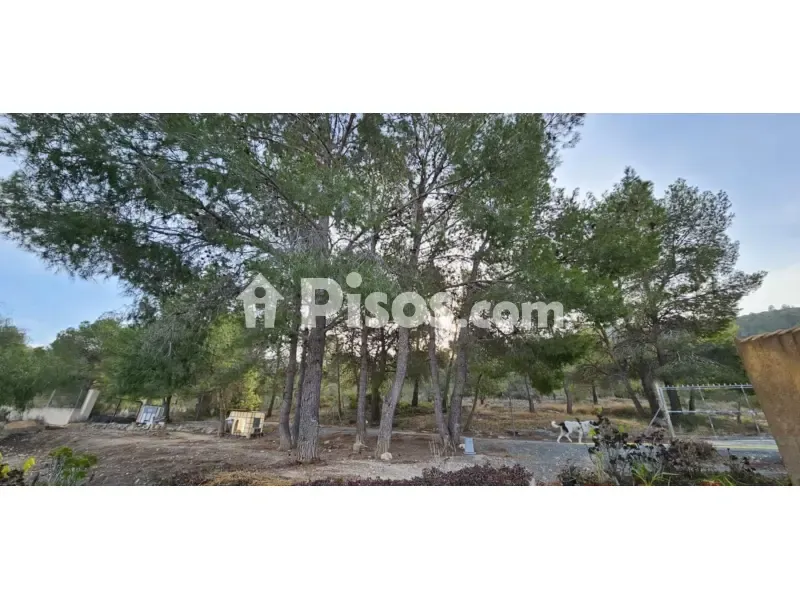 Jardin - Chalet with Pool in Hondón de Las Nieves