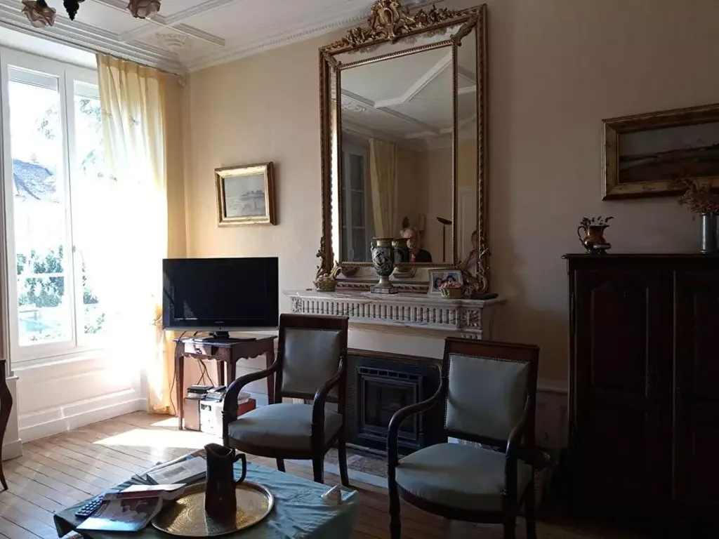 Séjour - Appartement Haussmannien avec Jardin au Centre de Chalon-sur-Saône