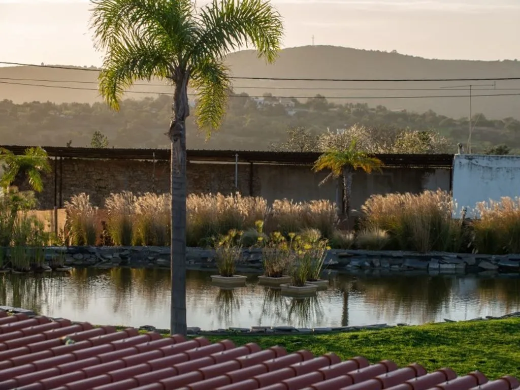 Jardin - Luxury House with Equestrian Centre in Loule