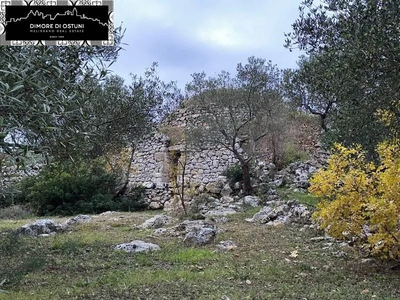 Garden - Saracen Trullo with Olive Grove in Ostuni