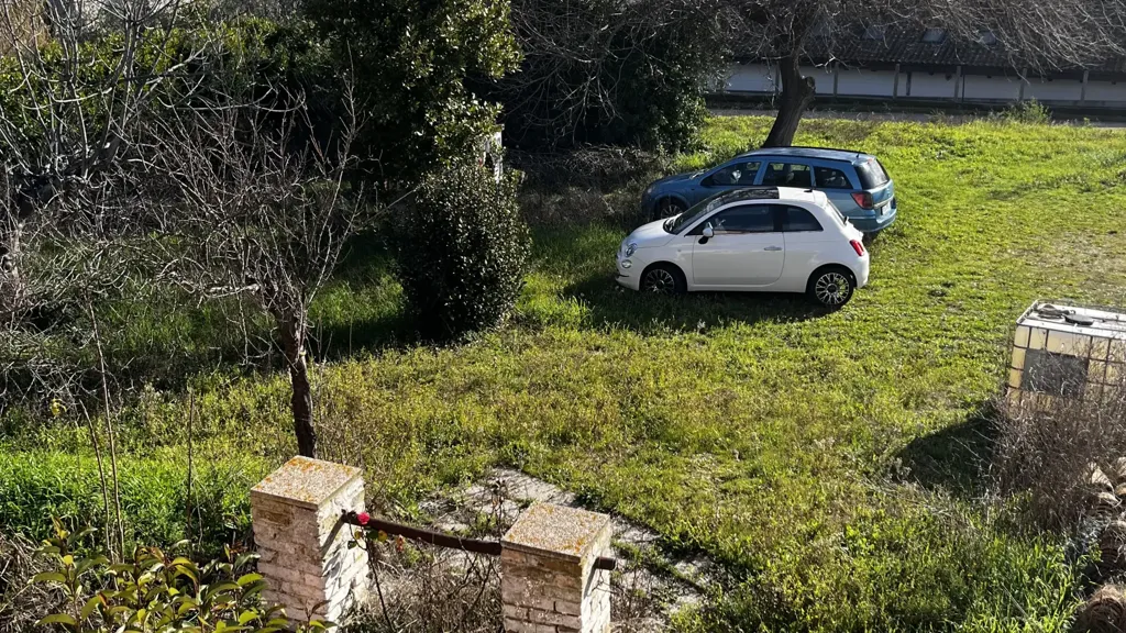 Jardin - Rustic Bungalow with Olive Grove in Fossacesia