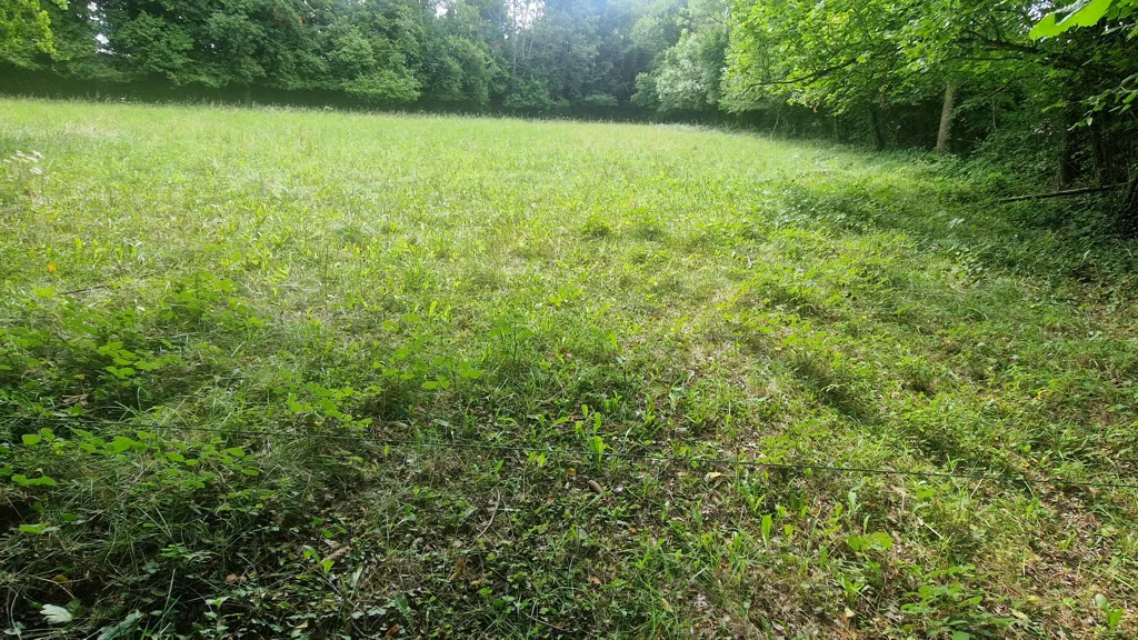 Jardin - Terrain Constructible au Calme à Chapdes-Beaufort