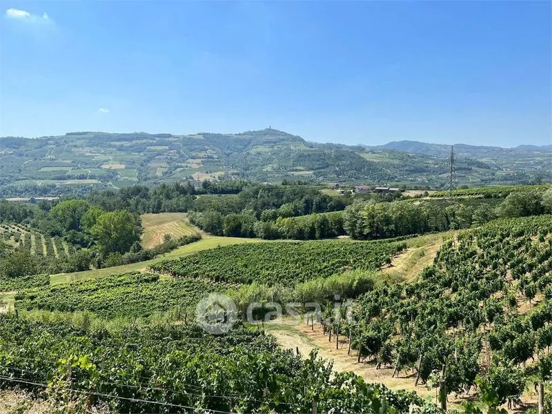 Jardin - Rustic Farmhouse with Vineyard in Cessole