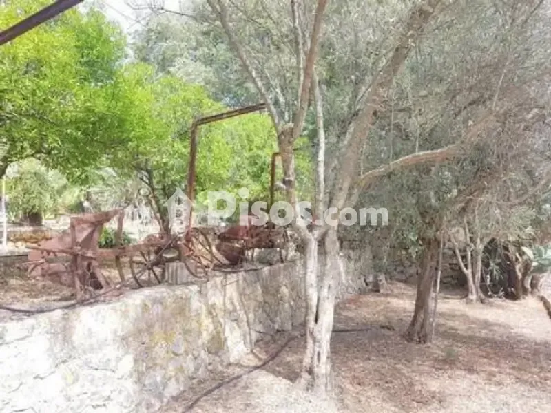 Jardin - Rustic House with 360° Views in Sa Pobla