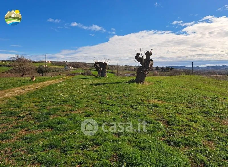 Jardin - Rustic Casale with Panoramic Views in Città Sant'Angelo