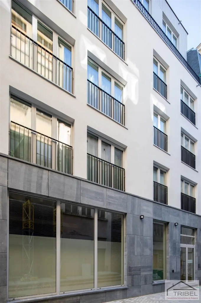 Esterno - Furnished Flat with Terrace in Brussels