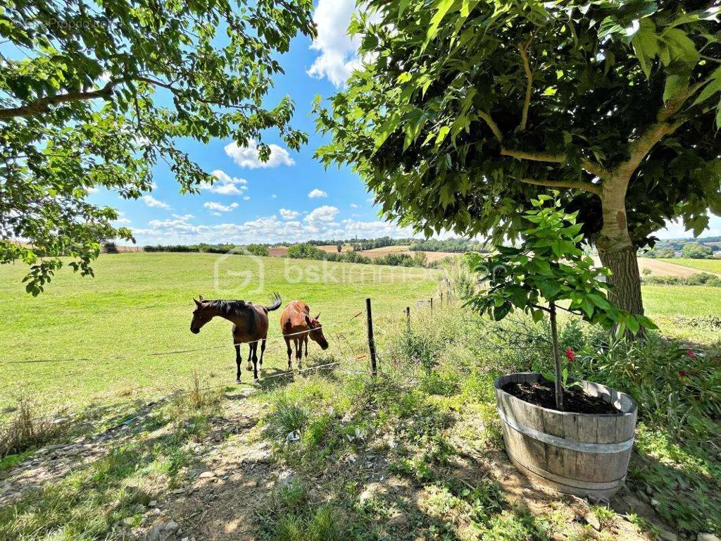 Aed - Charming Equestrian Estate with Paddock in Florentin