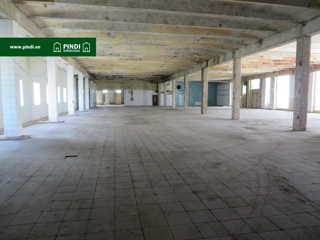 Toad - Industrial Plot with Central Utilities in Valga