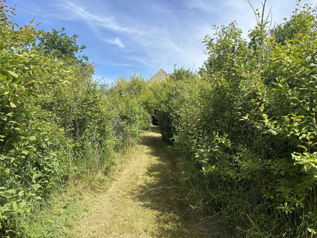 Jardin - Fermette avec deux logements et jardin à Laféline
