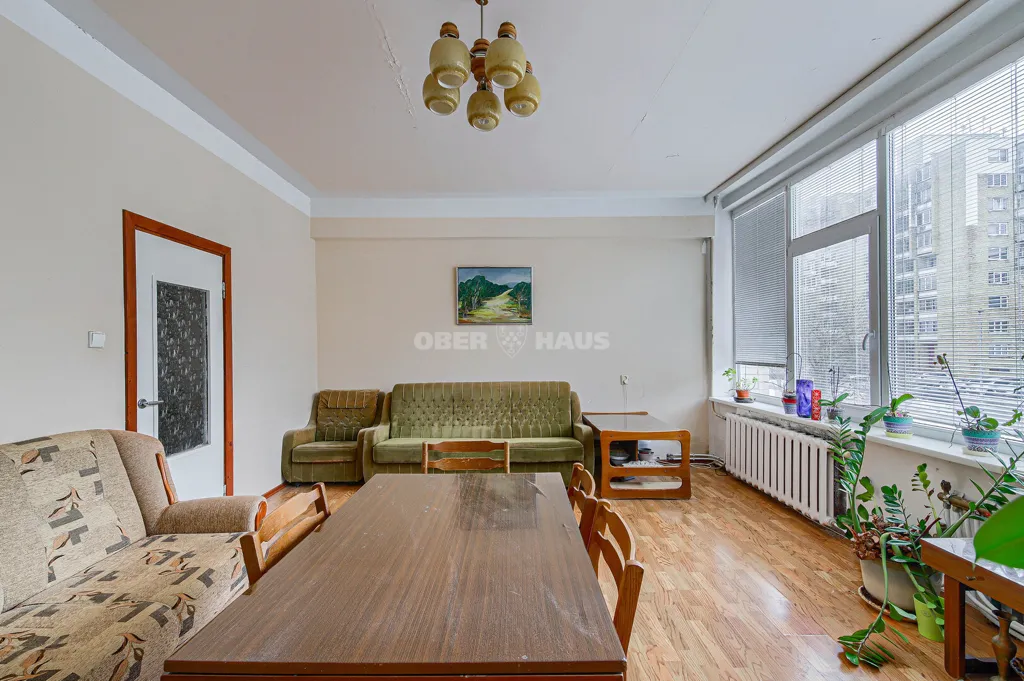 Séjour - Spacious Apartment with High Ceilings in Lentvaris