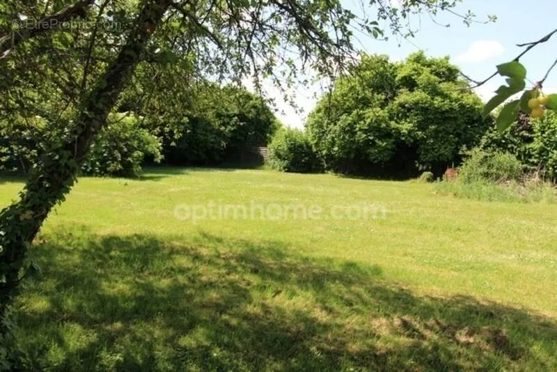 Jardin - Terrain Plat à Bâtir dans le Montois