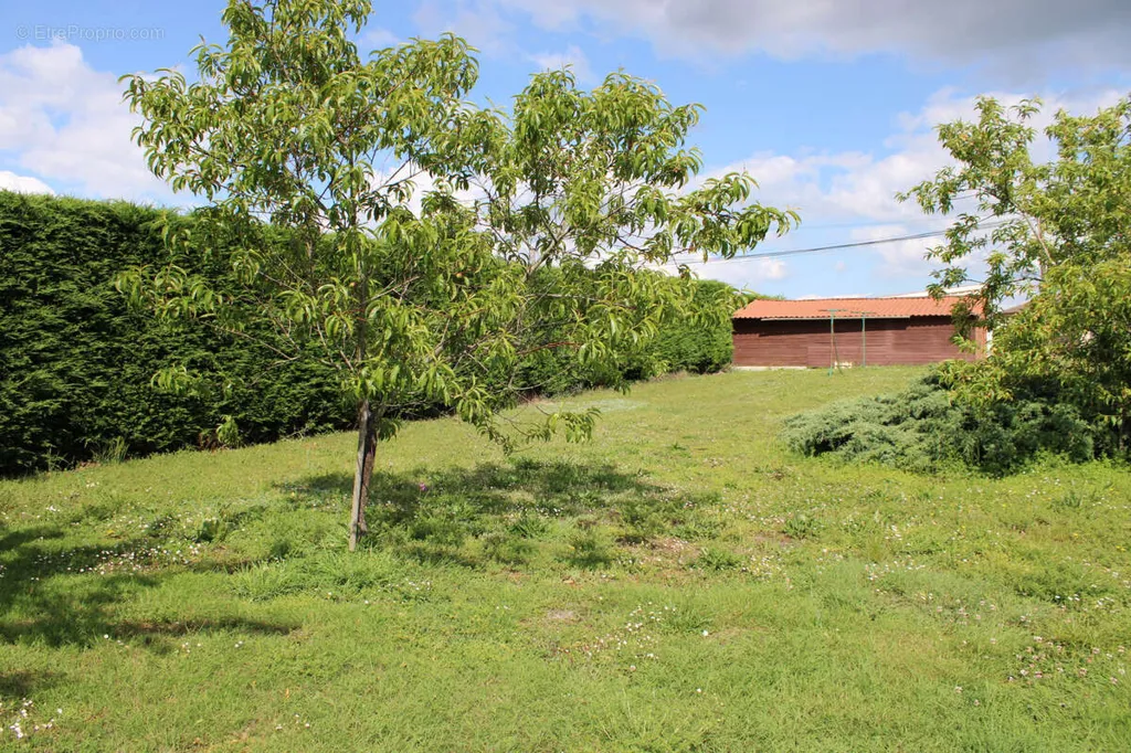 Jardin - Maison Individuelle avec Grand Terrain Clôturé