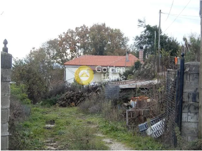 Extérieur - Traditional Villa with Garden in Zitsa Centre