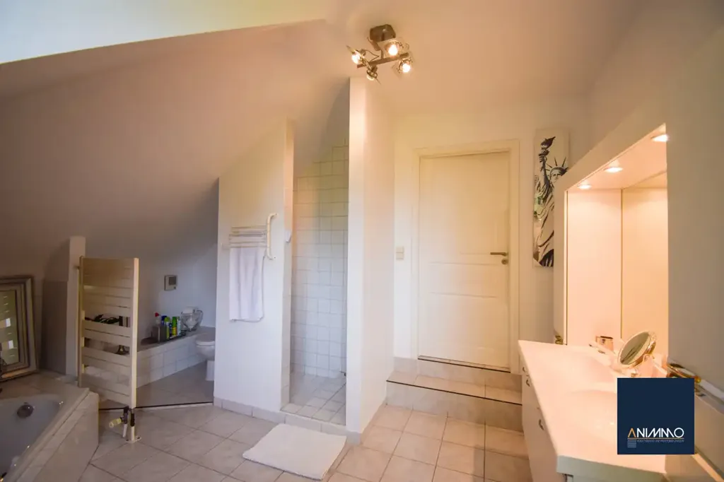 Vannitoad - Spacious Villa with Countryside View in Kampenhout