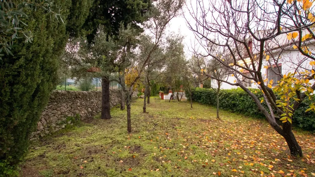 Jardin - Villa with Garden in Cavasecca, Noto