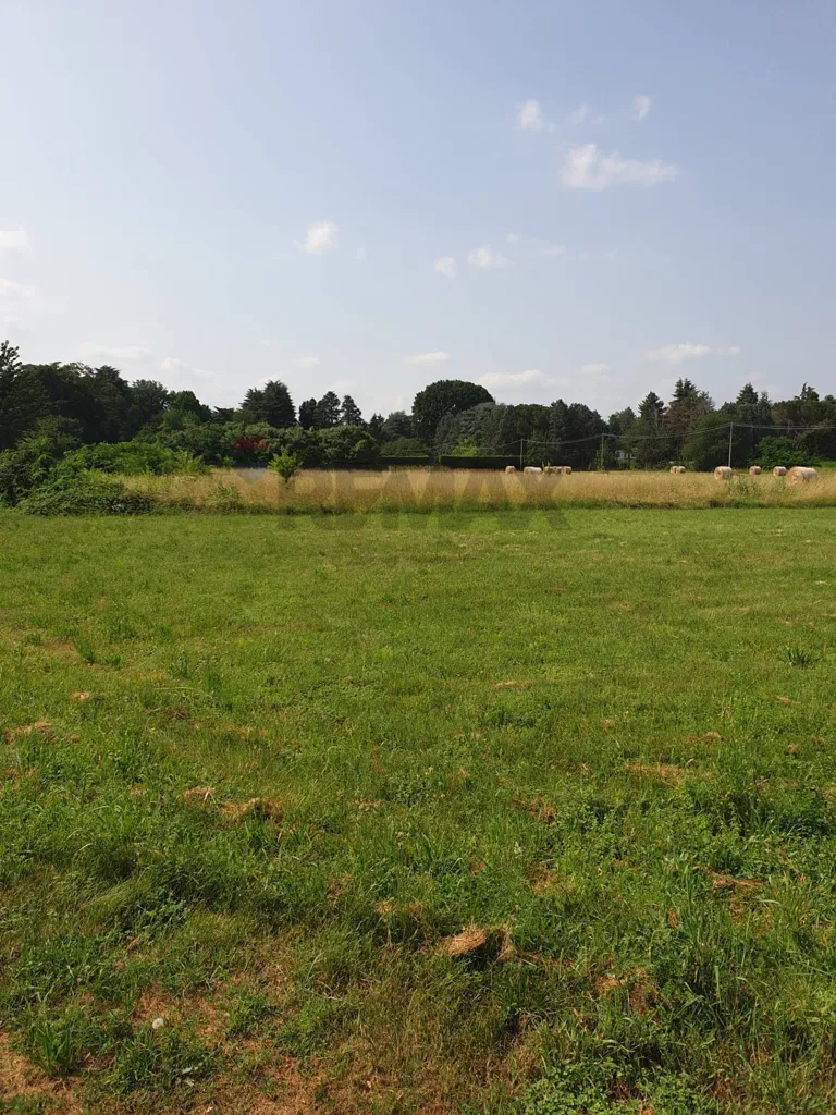 Aed - Agricultural Land with Solar Exposure in Castellanza