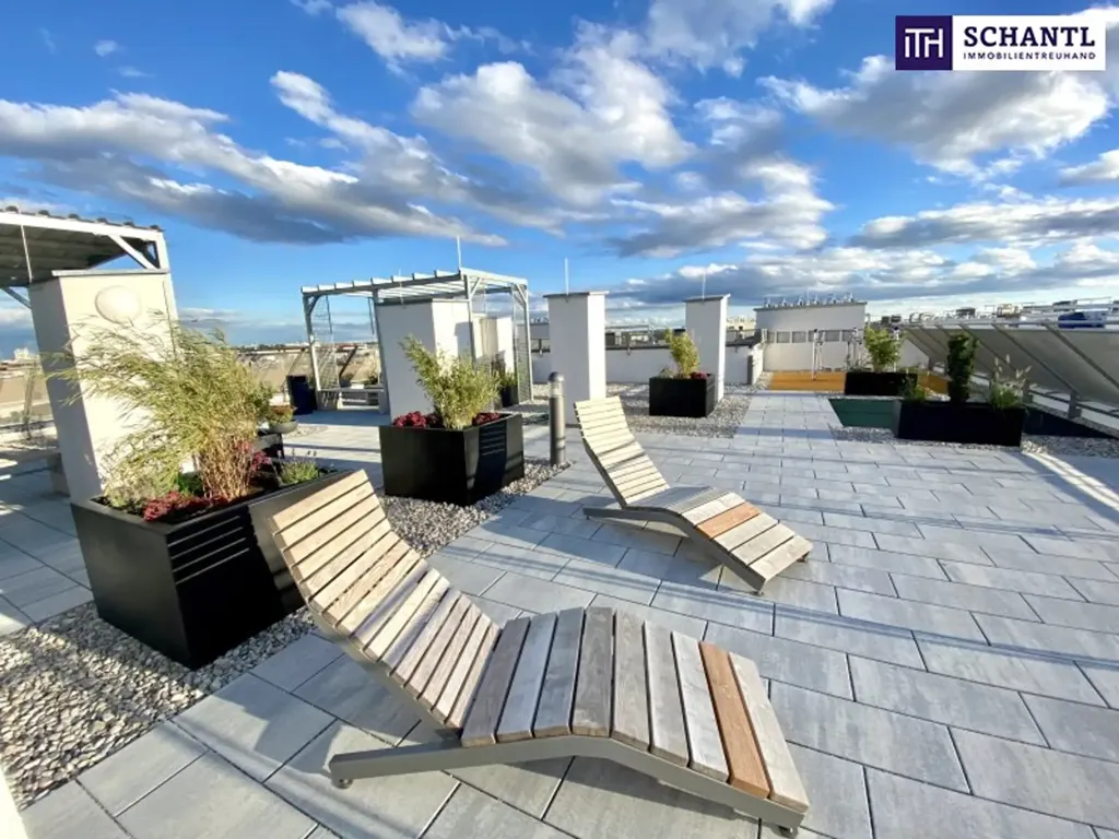 Terrasse - Two-Bedroom Apartment with Large Loggia in Schwechat