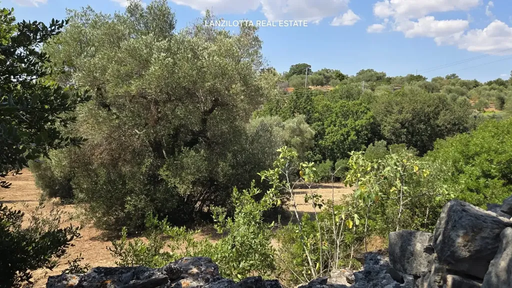 Jardin - Trullo Complex for Renovation in Cisternino
