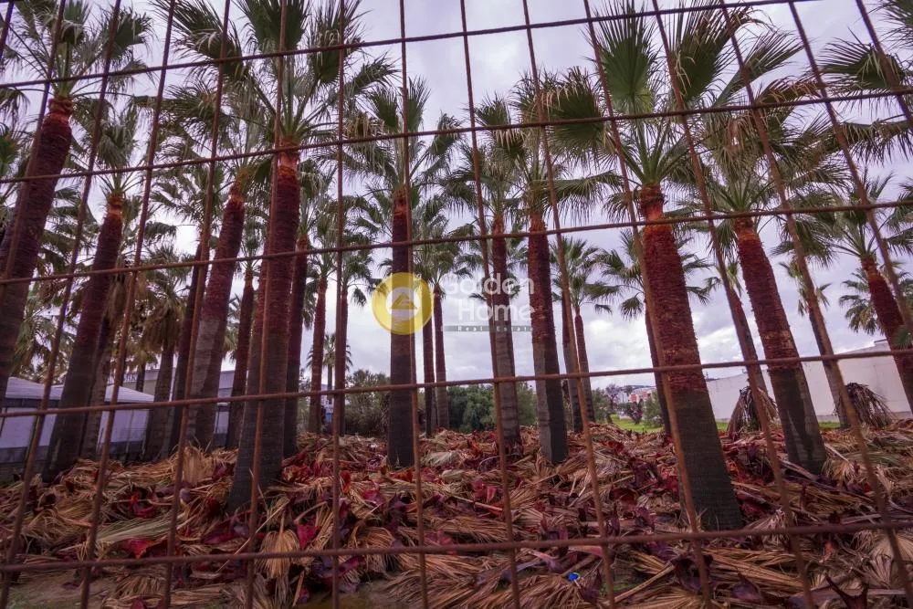 Jardin - Commercial Plot with Sea View in Agia Marina, Chania
