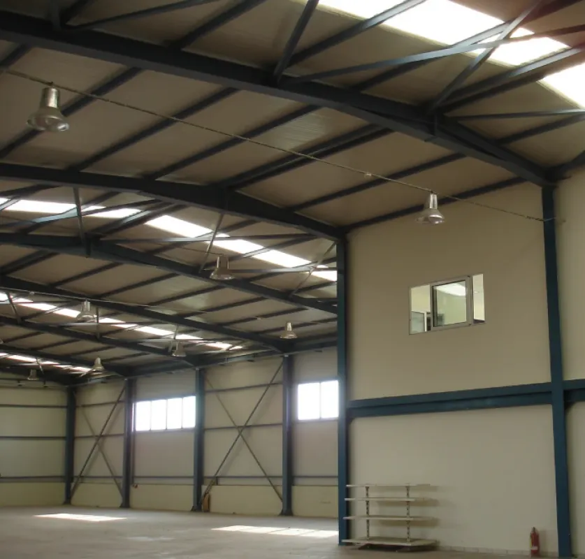Toad - Industrial Space with Full Infrastructure in Athens West