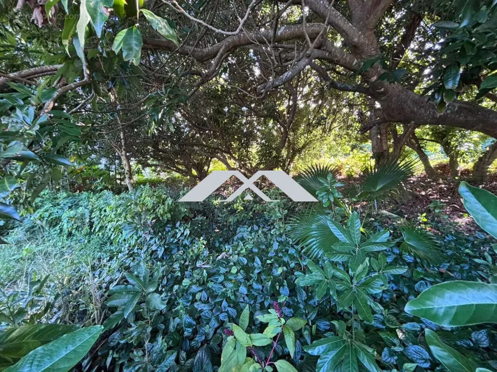 Aed - Buildable Plot in Residential Carosse, Saint-Joseph