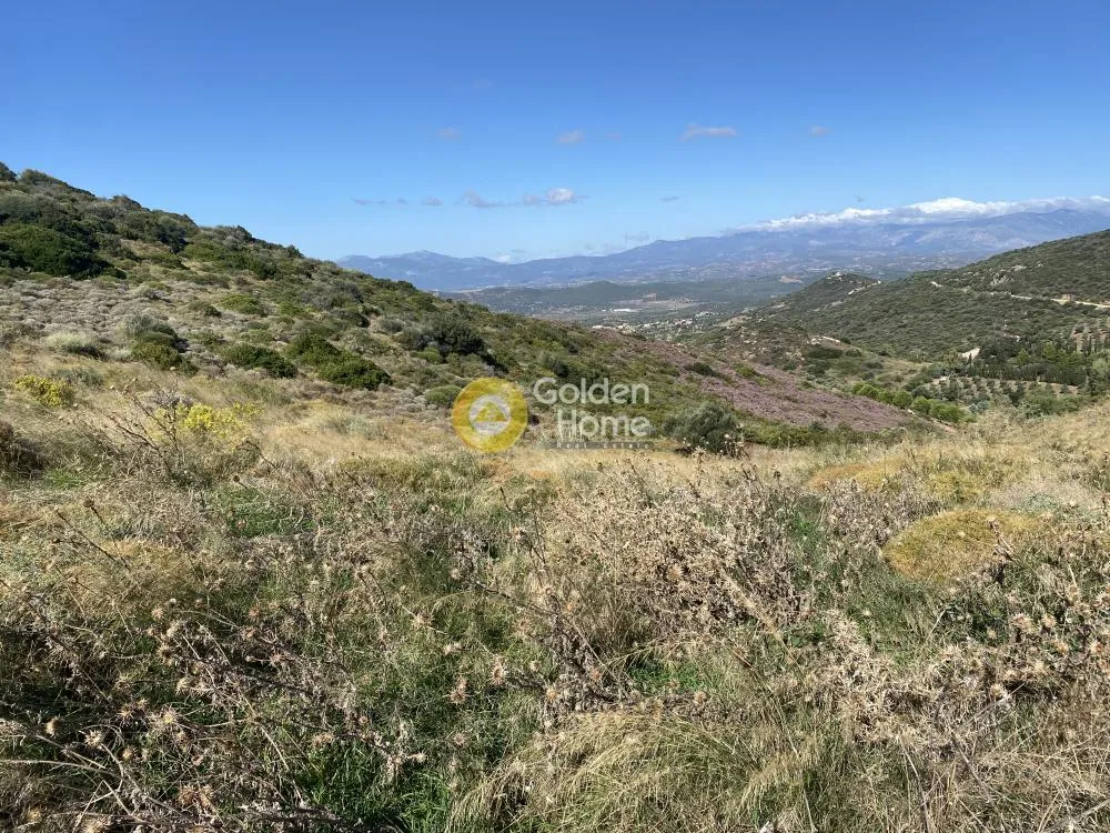 Jardin - Amphitheatre Plot with Panoramic View in Petres
