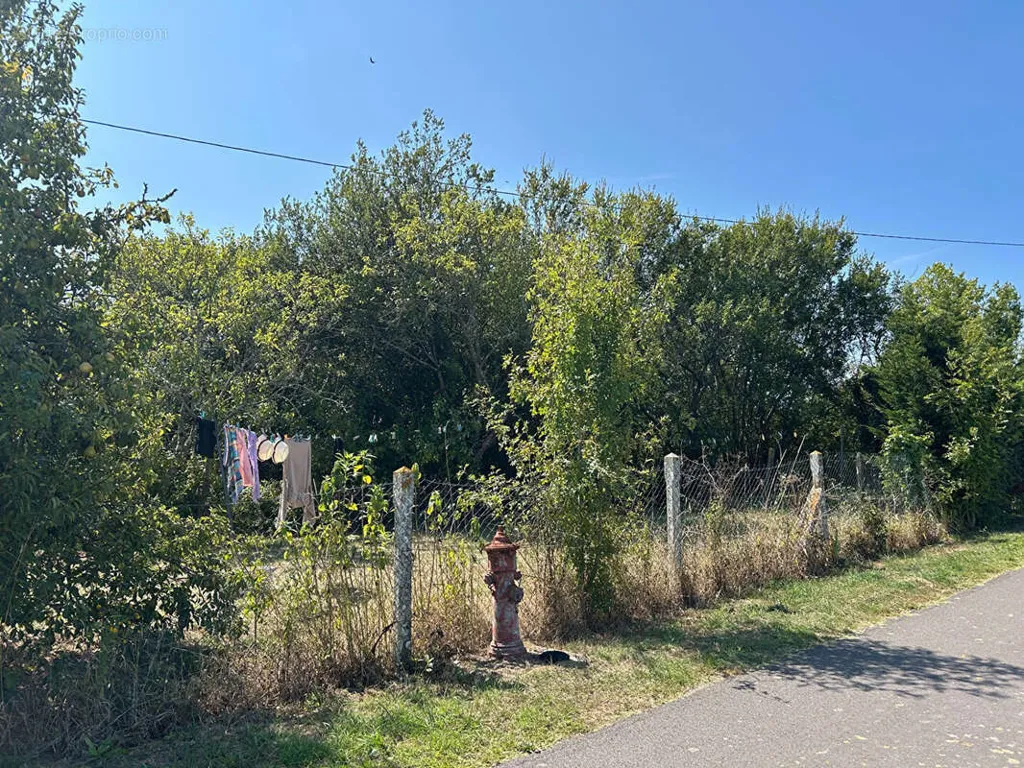 Aed - Rustic Longère with Garden in Soullans