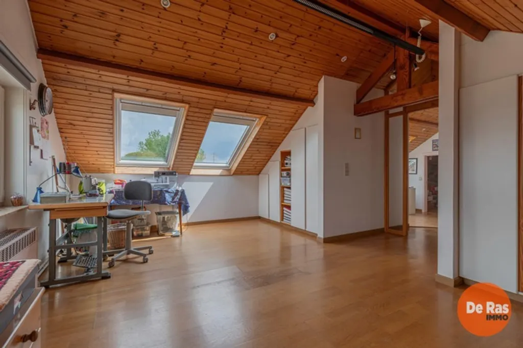Toad - Open Plan House with Garden in Aaigem