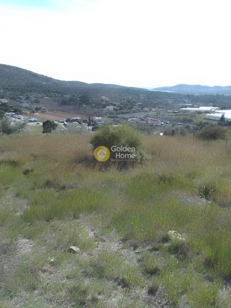 Giardino - Agricultural Plot with Sea View in Kifissia
