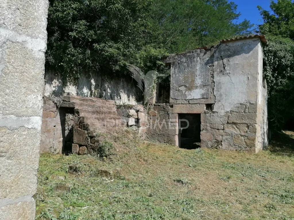 Aed - Rural Quinta with Olive Trees in Douro Region