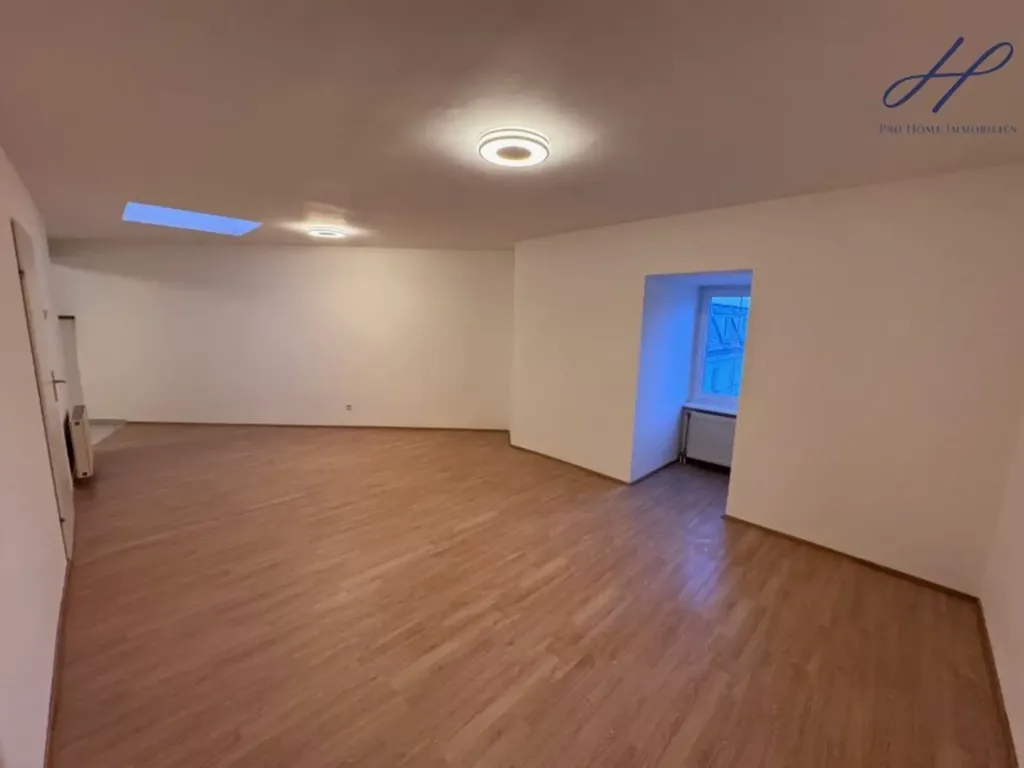 Toad - Charming 1-Bedroom Apartment with Garage in Laxenburg