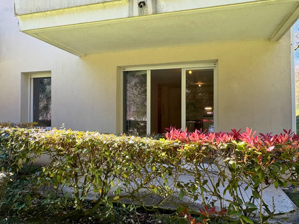 terrace_patio