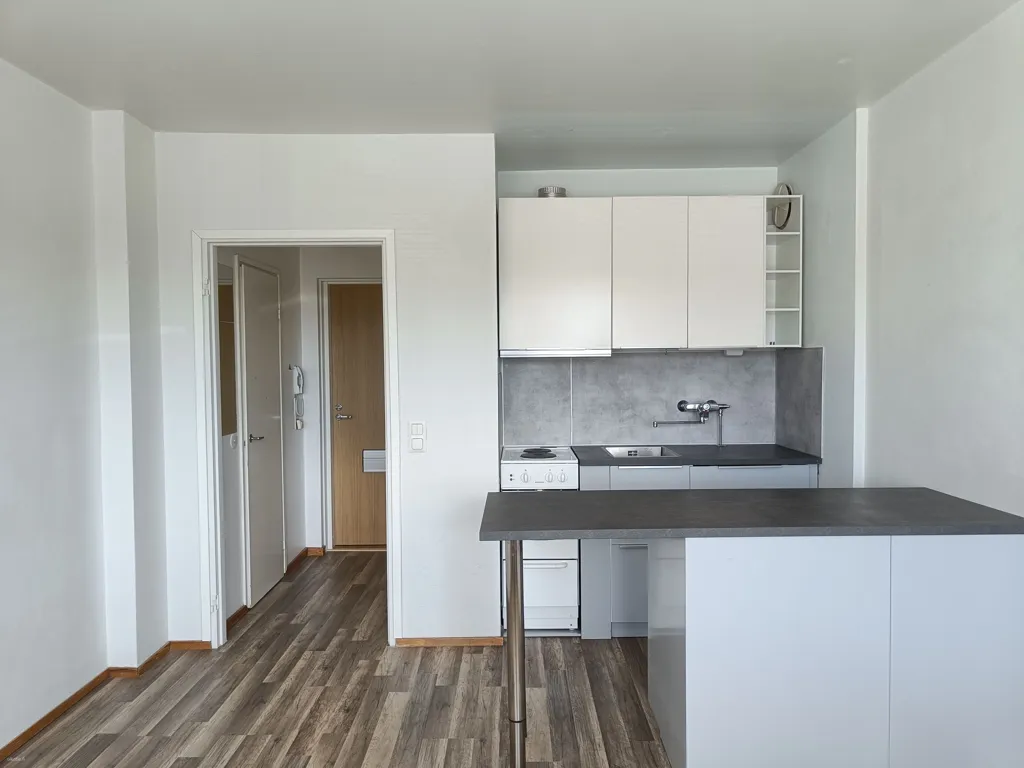 Cuisine - Apartment with Garden in Hyvinkää Centre