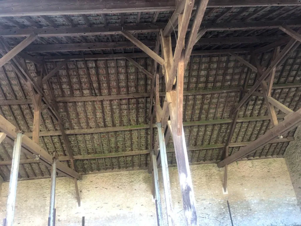 Toad - Stone Barn with Outbuilding in Provins