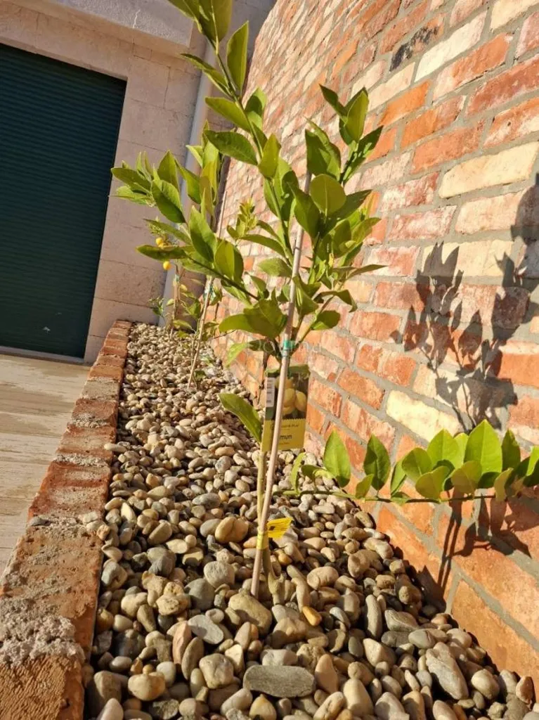 Giardino - Family House with Pool in Privlaka