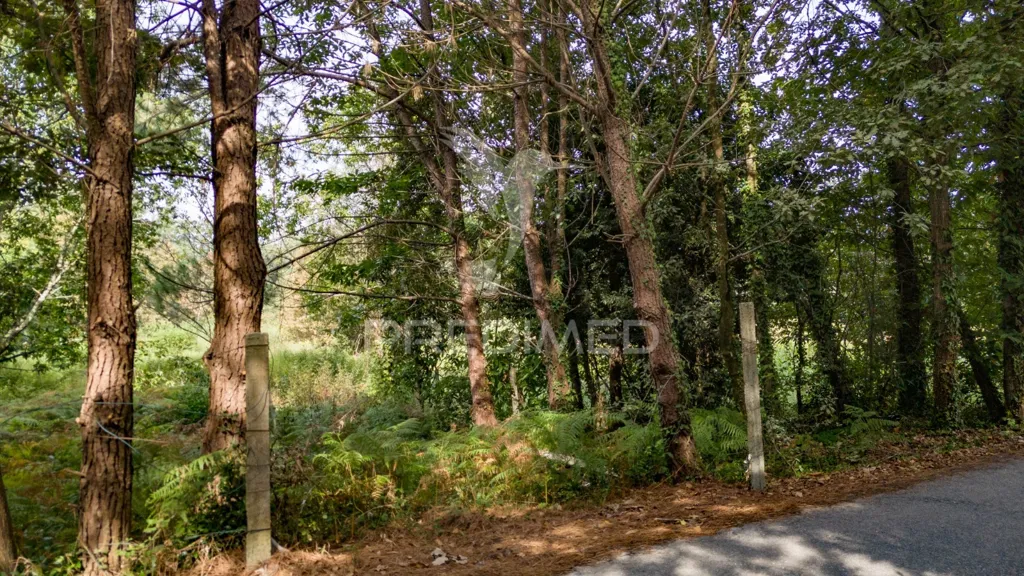 Jardin - Agricultural Land with Construction Viability in Lage