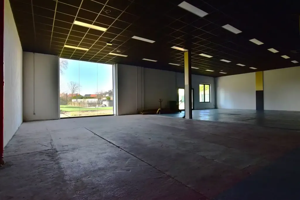 Toad - Multifunctional Business Premises with Outdoor Pool in Hamme