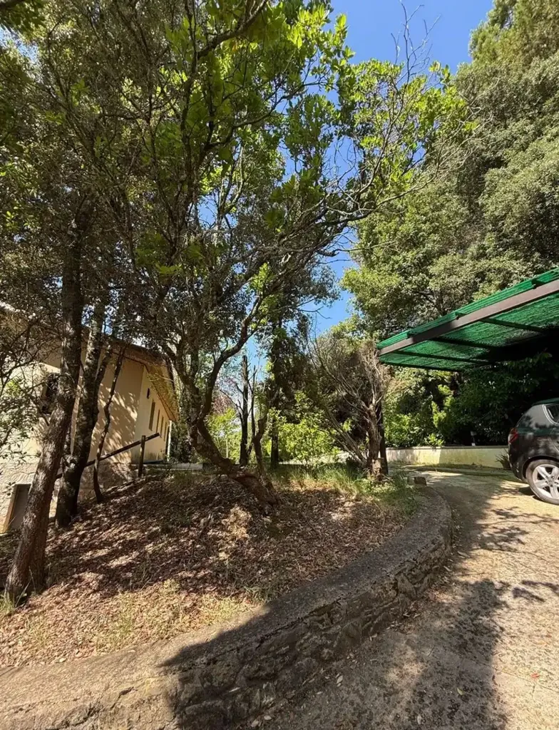 Välivaade - Chalet with Private Forest in Sant Aniol de Finestres
