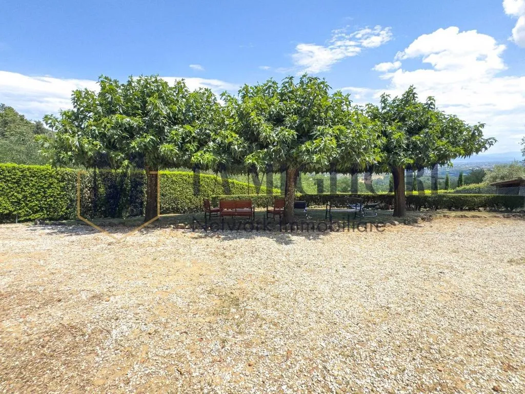 Jardin - Rustic Villa with Olive Grove in Serravalle Pistoiese