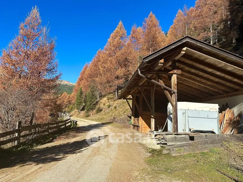 Välivaade - Rustic Farmhouse with Forest in Sarentino