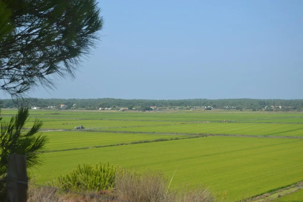 Development Land with Beach Proximity in Comporta