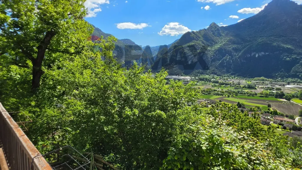 Trilocale with Garden in Darzo