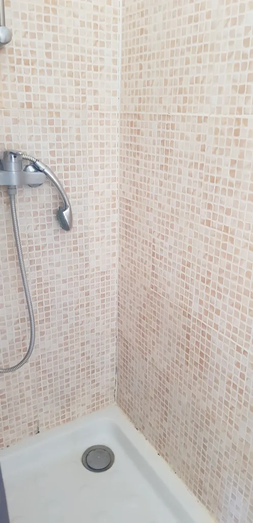 Salles de bain - Appartement de Type 2 avec Jardin Privatif à Cornillon Confolens